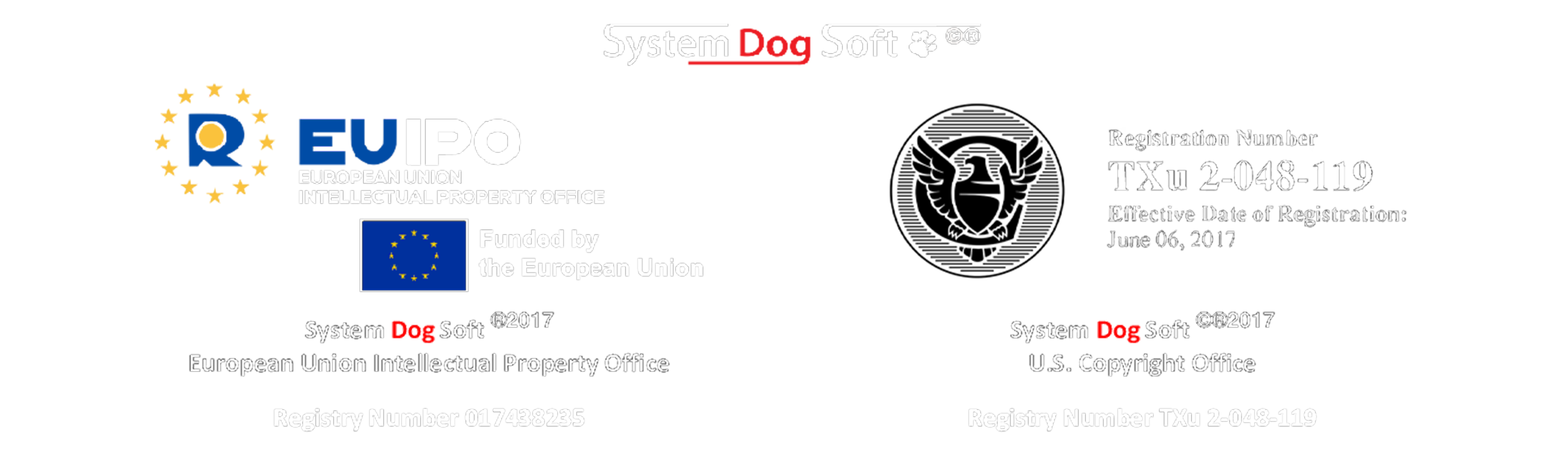Intellectual Property Registration - EUIPO & US Copyright